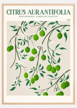 Boho Citrus Aurantifolia Plakat (21x29.7 cm (A4))