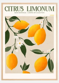 Boho Citrus Limonum Plakat (21x29.7 cm (A4))