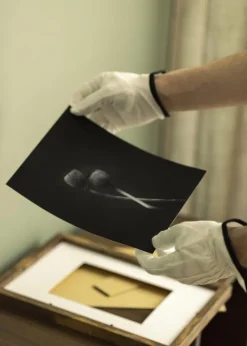 Bomullsvanter til bilder (L (Strl 9))