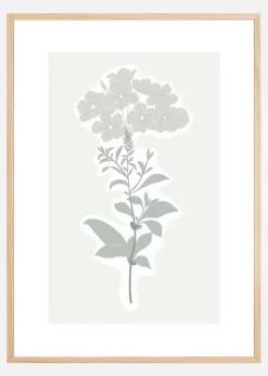 BOTANIC Plakat (21x29.7 cm (A4))