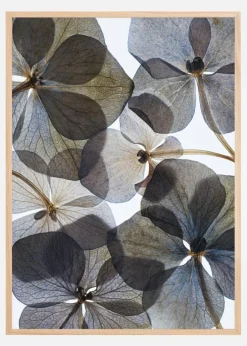 Botanical I Plakat (21x29.7 cm (A4))