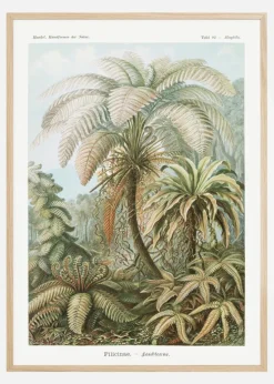 Botanicum Plakat (21x29.7 cm (A4))