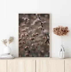 Bridal Veil Flower Plakat (21x29.7 cm (A4))