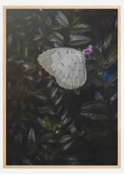 Butterfly Plakat (21x29.7 cm (A4))