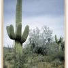 Cactus Land Plakat (21x29.7 cm (A4))