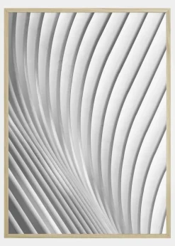 Calatrava Lines Plakat (21x29.7 cm (A4))