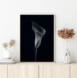 Calla Lily Plakat (21x29.7 cm (A4))