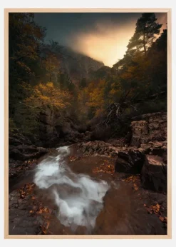 Calm Forest Plakat (21x29.7 cm (A4))