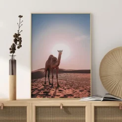 Camel Plakat (21x29.7 cm (A4))