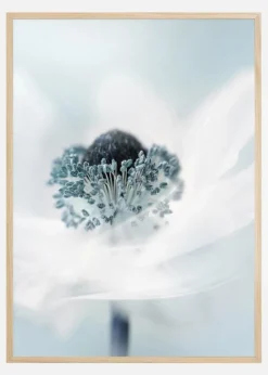 Candy floss Plakat (21x29.7 cm (A4))