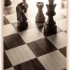 Checkmate Plakat (21x29.7 cm (A4))