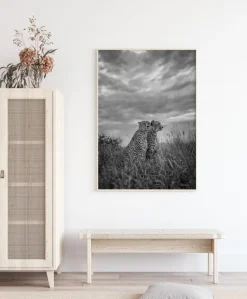 Cheetah Dreams Plakat (21x29.7 cm (A4))