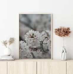 Cherryblossom Plakat (21x29.7 cm (A4))