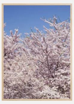 Cherry-Tree Plakat (21x29.7 cm (A4))