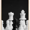Chess Plakat (21x29.7 cm (A4))