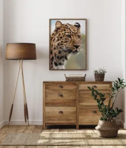 Chetah Plakat (21x29.7 cm (A4))