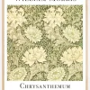 Chrysanthemum Plakat (21x29.7 cm (A4))