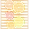 Citrus Plakat (21x29.7 cm (A4))