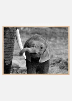 Close Plakat (21x29.7 cm (A4))