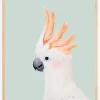 Cockatoo on Mint Plakat (21x29.7 cm (A4))