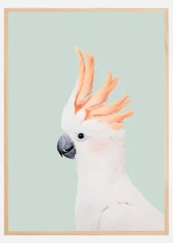 Cockatoo on Mint Plakat (21x29.7 cm (A4))