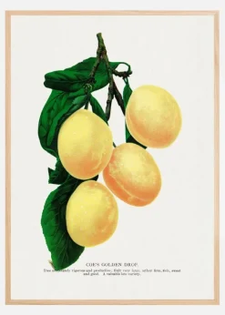 Coe' Plakat (21x29.7 cm (A4))