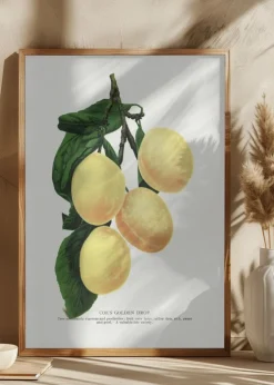 Coe' Plakat (21x29.7 cm (A4))