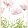 Cosmos Cupcake Plakat (21x29.7 cm (A4))