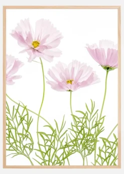 Cosmos Cupcake Plakat (21x29.7 cm (A4))