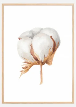 Cotton Flower Plakat (21x29.7 cm (A4))