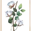 Cotton Flower Plakat (21x29.7 cm (A4))