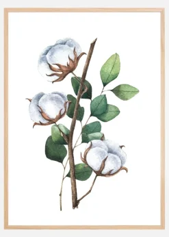 Cotton Flower Plakat (21x29.7 cm (A4))