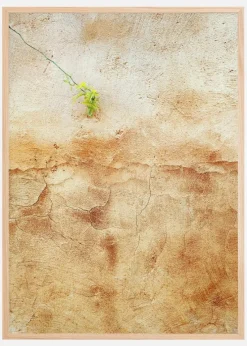 Cracked wall Plakat (21x29.7 cm (A4))