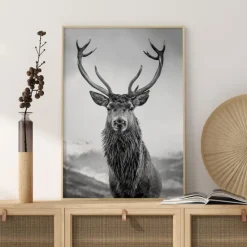 Curious Deer Plakat (21x29.7 cm (A4))