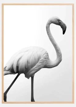 Dancer Plakat (21x29.7 cm (A4))