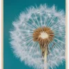 Dandelion Macro Sky Plakat (21x29.7 cm (A4))