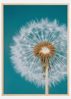 Dandelion Macro Sky Plakat (21x29.7 cm (A4))