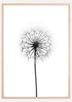 Dandelion Plakat (21x29.7 cm (A4))