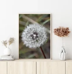 Dandelion Plakat (21x29.7 cm (A4))