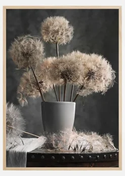 Dandelion Seed Pod Plakat (21x29.7 cm (A4))