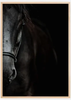 Dark Horse Plakat (21x29.7 cm (A4))
