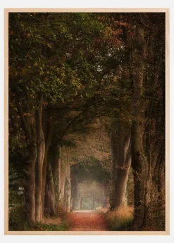 Daydreamer Plakat (21x29.7 cm (A4))