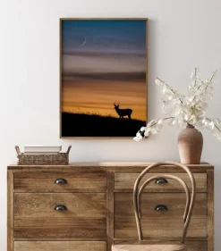 Deer In Sunset Plakat (21x29.7 cm (A4))