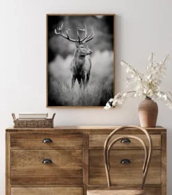 Deer With Horns Plakat (21x29.7 cm (A4))