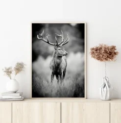 Deer With Horns Plakat (21x29.7 cm (A4))