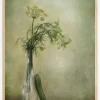 Dill And Cucumber Plakat (21x29.7 cm (A4))