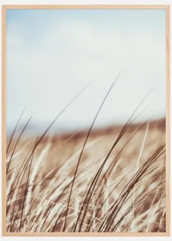 Dreamy Grass Plakat (21x29.7 cm (A4))