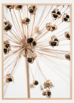 Dried 007 Plakat (21x29.7 cm (A4))