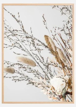 Dried 008 Plakat (21x29.7 cm (A4))