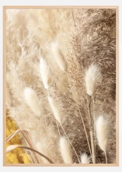 Dried Bouquet Plakat (21x29.7 cm (A4))